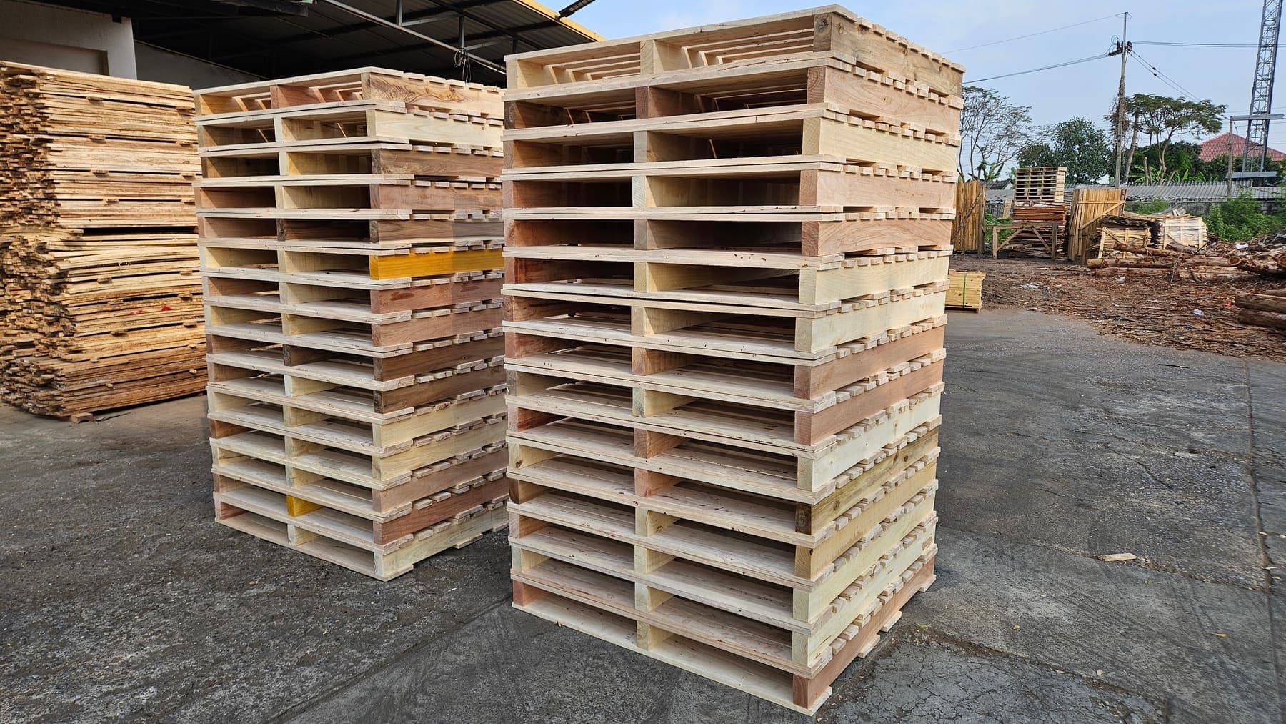 พาเลทไม้หน้างานผลิต โดย BW Pallet