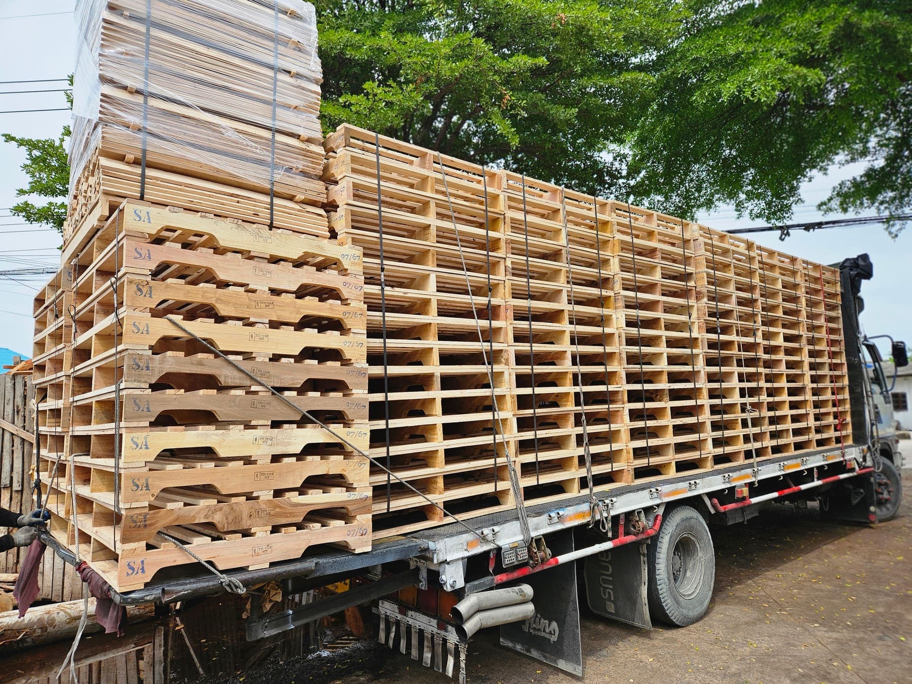 พาเลทไม้บนรถบรรทุก โดย BW Pallet