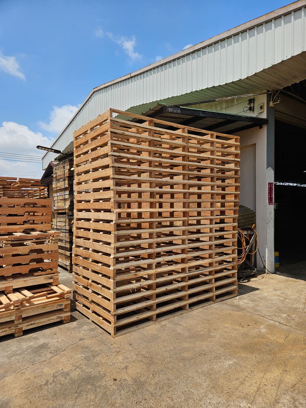พาเลทไม้จัดเรียงในพื้นที่ผลิต โดย BW Pallet