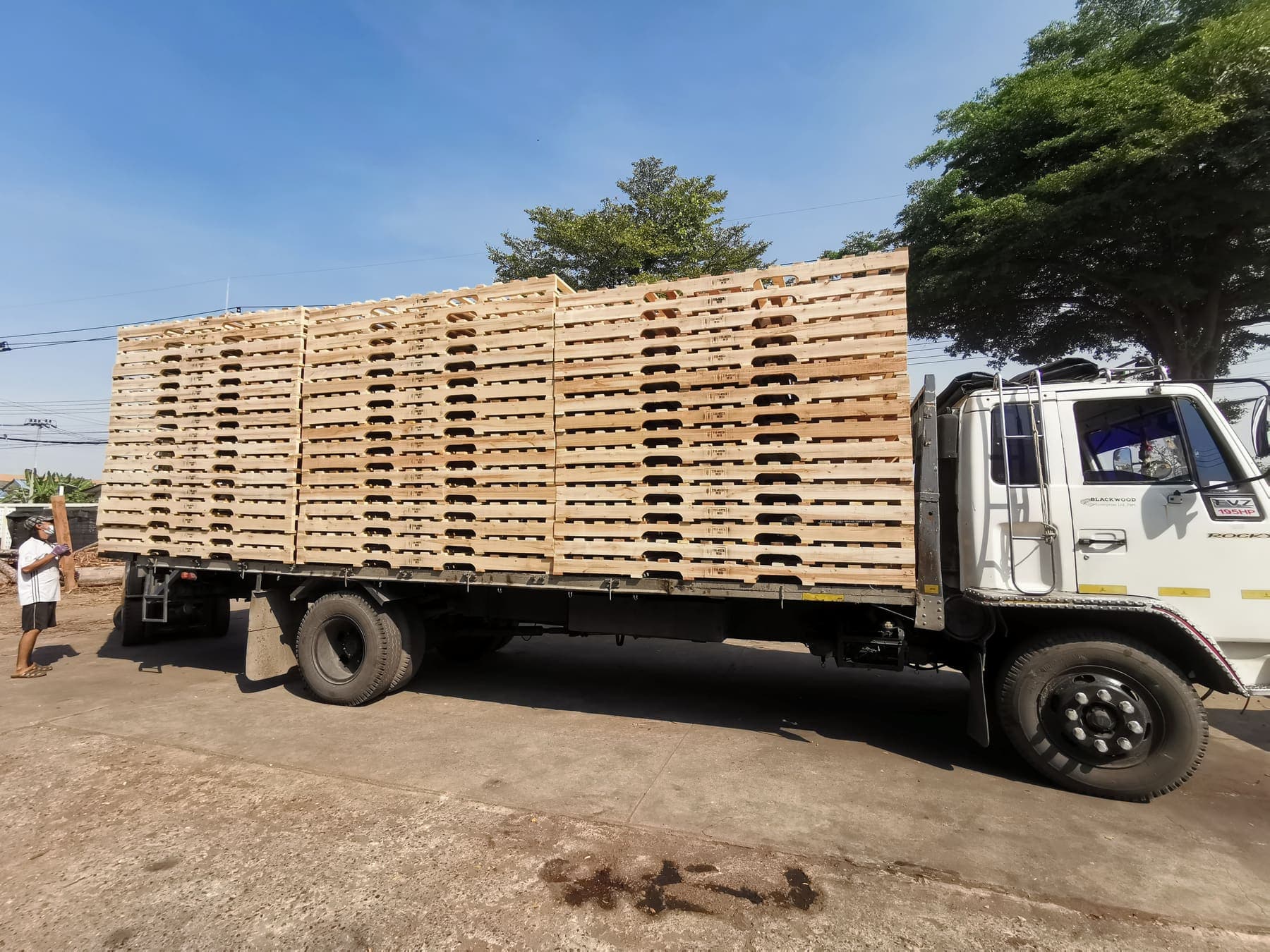 พื้นที่ผลิตและตัวอย่างงานไม้บรรจุภัณฑ์ของ BW Pallet